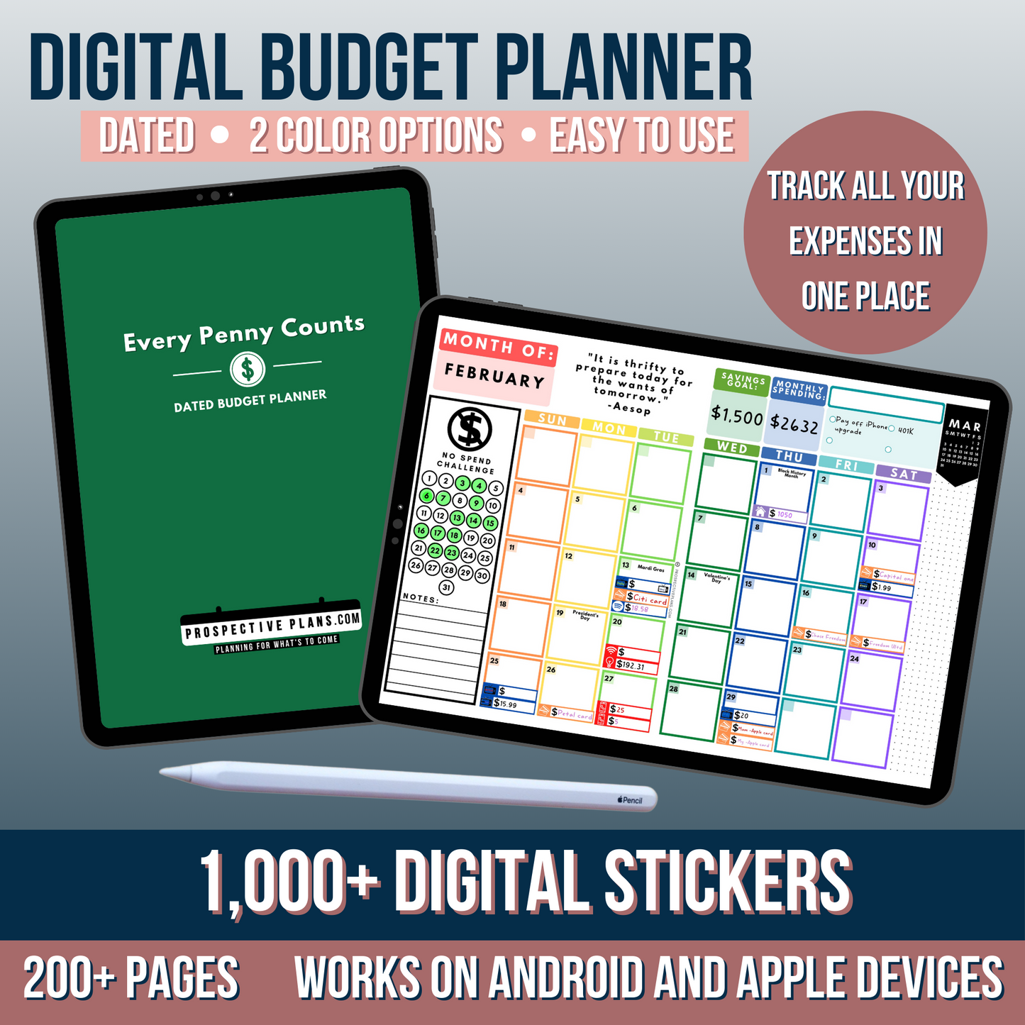 2025 Every Penny Counts - Budget Planner Bundle | 1000+ Stickers